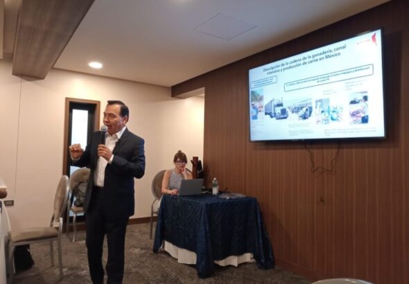 Importó SuKarne siete mil cabezas de ganado