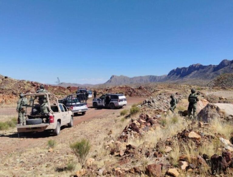 Desmantelan campamento criminal en Aldama durante operativo estatal