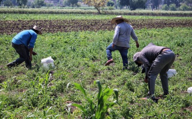 Pide Frente Campesino acciones por acuíferos