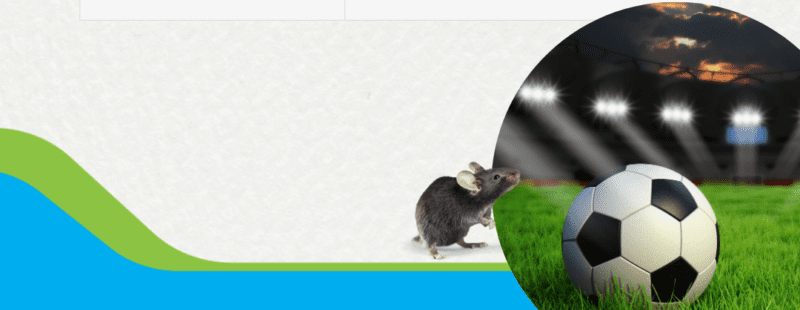 Exponen problemas por plagas en estadios mexicanos