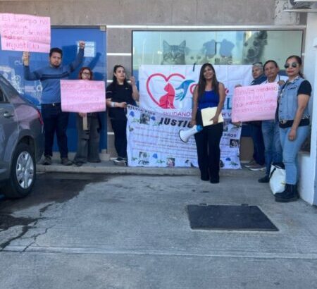 Ante incumplimientos de Marco Bonilla, animalistas presentan pliego petitorio