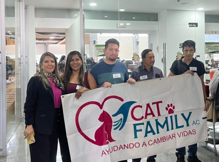 Proponen aumentar sanciones contra maltrato y omisión de cuidados a animales