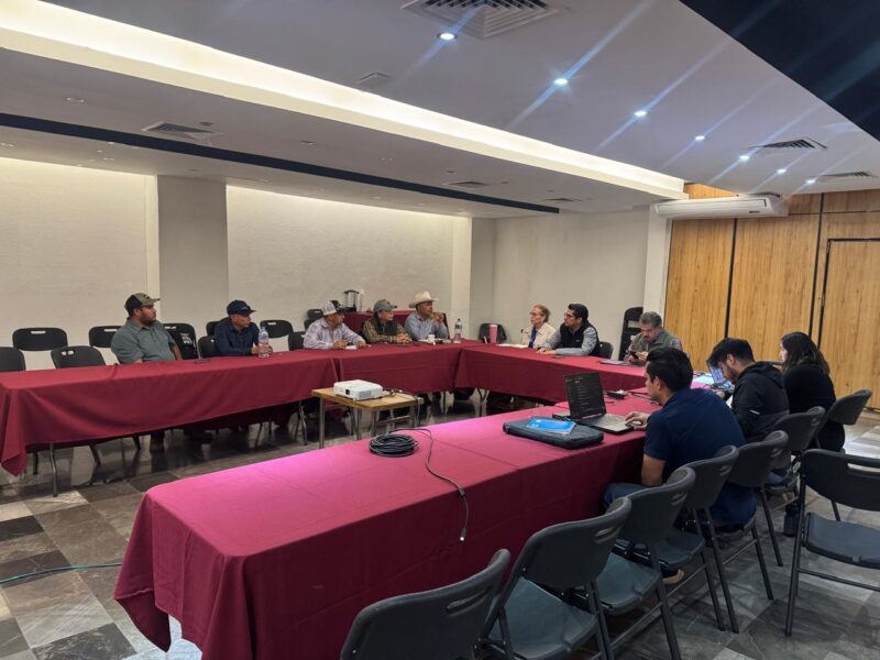 Logran productores 27mdp para sumar mil toneladas de frijol a la comercialización