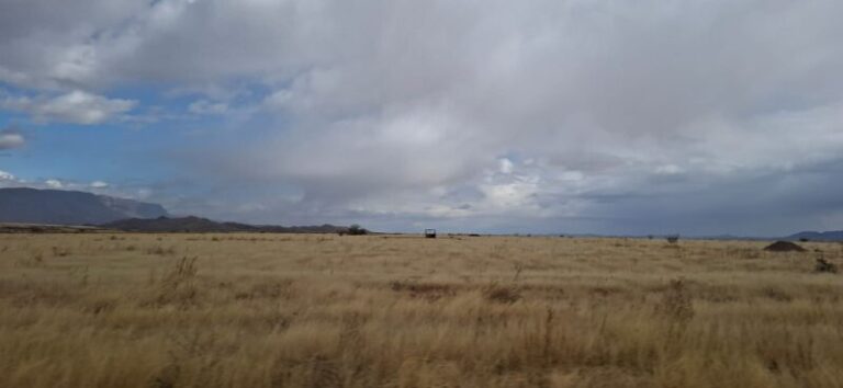 Prevén calor, viento y lluvias aisladas este jueves