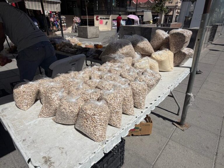 Ofrecerán campesinos frijol a 20 pesos