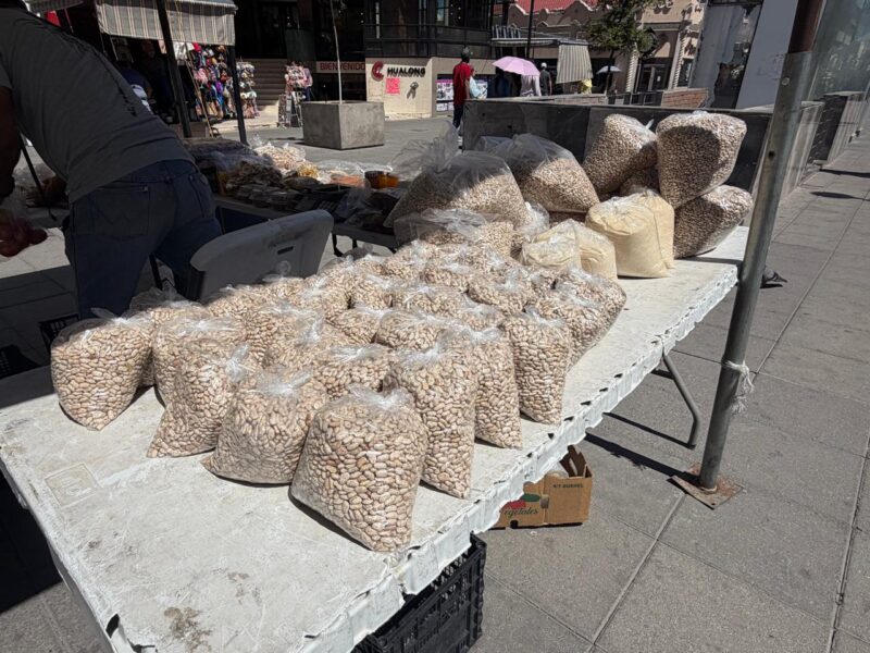 Ofrecerán campesinos frijol a 20 pesos