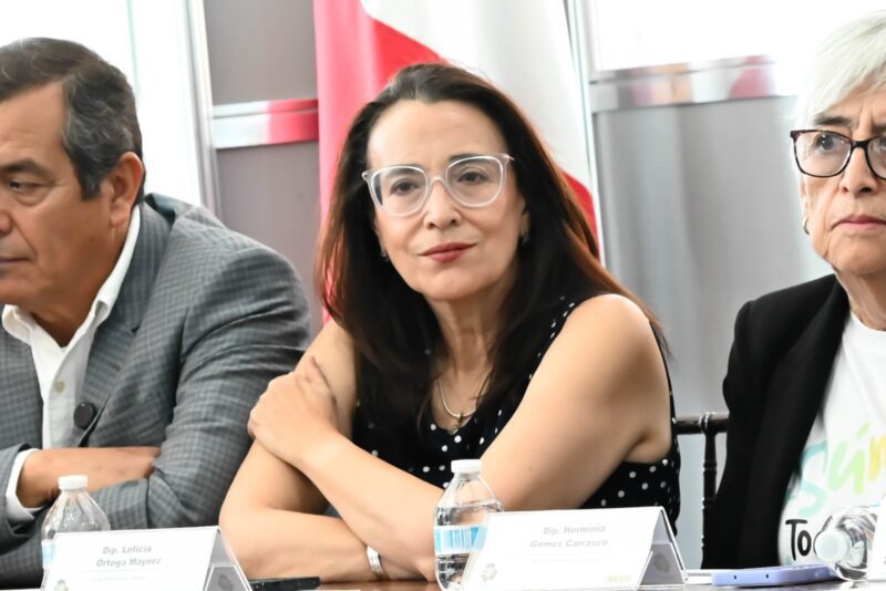 Leticia Ortega cuestiona estrategia de seguridad del Estado y exige claridad en cifras oficiales