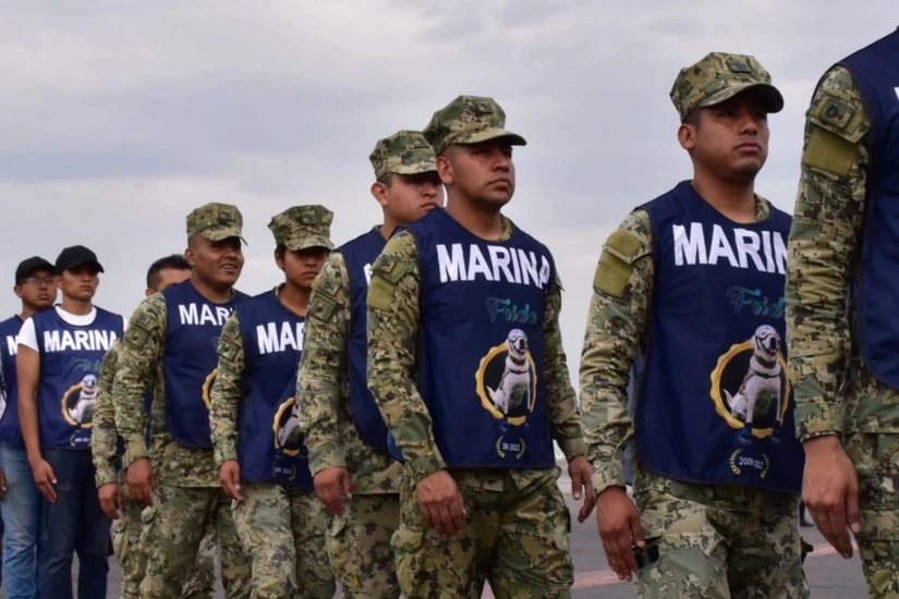 La labor de los integrantes de la Marina es clave para la seguridad nacional. 