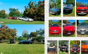 Golpe a poderosa banda criminal  en Tabasco: aseguran 34 vehículos y detienen a dos mujeres