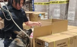 Decomisan más de 22 mil vapeadores ilegales en el aeropuerto de CDMX