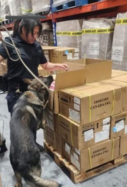 Aseguran 22 mil vapeadores ilegales en el AICM