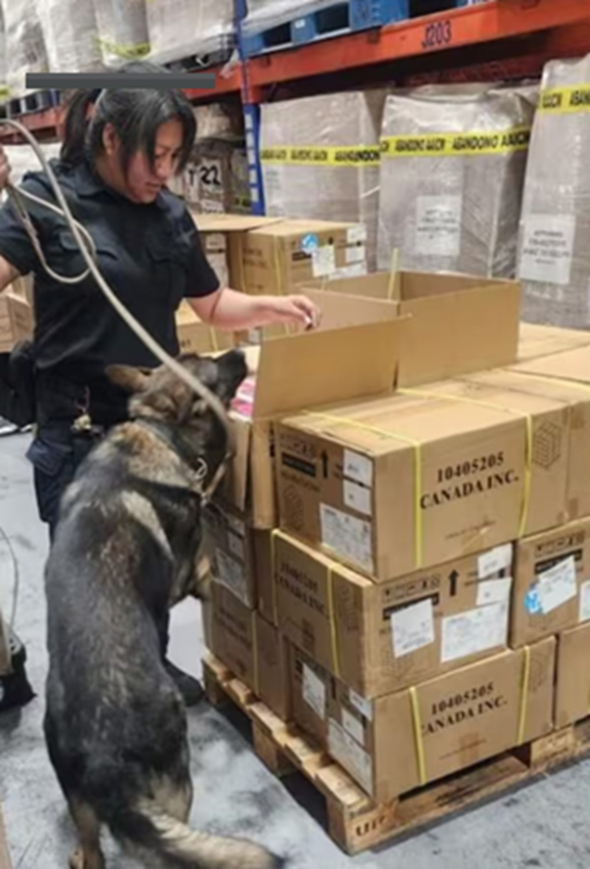 Aseguran 22 mil vapeadores ilegales en el AICM con valor de 5.2 millones de pesos