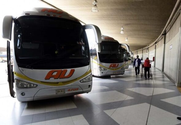 Anuncian descuentos a estudiantes y maestros en transporte en Semana Santa