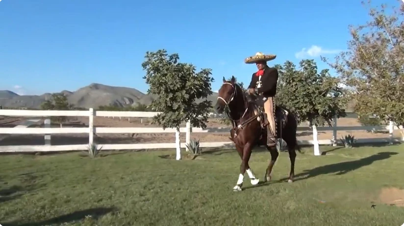 El enorme rancho de de Pablo Montero cuenta con caballos. Foto: Paty Chapoy