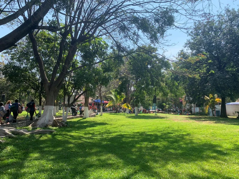 Este balneario de Cuautla tiene amplias áreas verdes. Foto: Cortesía