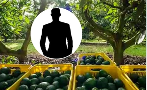 El galán de telenovelas de Televisa que cambió los foros de grabación por una huerta de aguacates