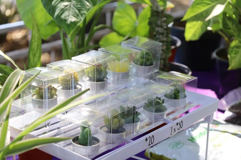 Productos artesanales, así como snacks y repostería están a la venta entre los artículos expuestos.