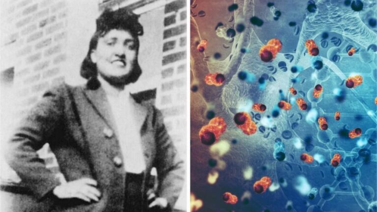 La familia de Henrietta Lacks alcanza un acuerdo por el uso de las células HeLa