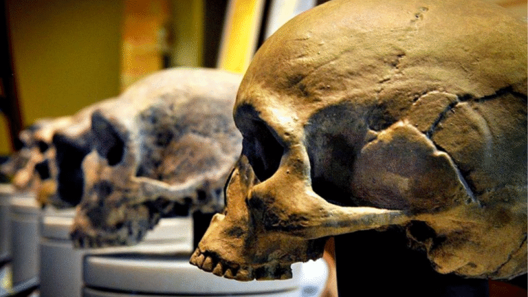 Análisis científico de fósiles en Asia sugiere la posible existencia de una especie humana diferente
