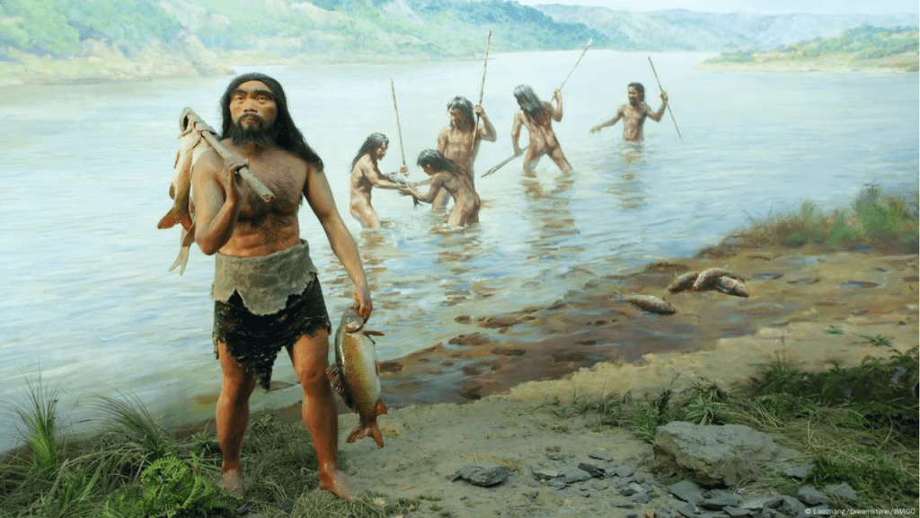 Análisis científico de fósiles en Asia sugiere la posible existencia de una especie humana diferente 2 fosiles - fosiles