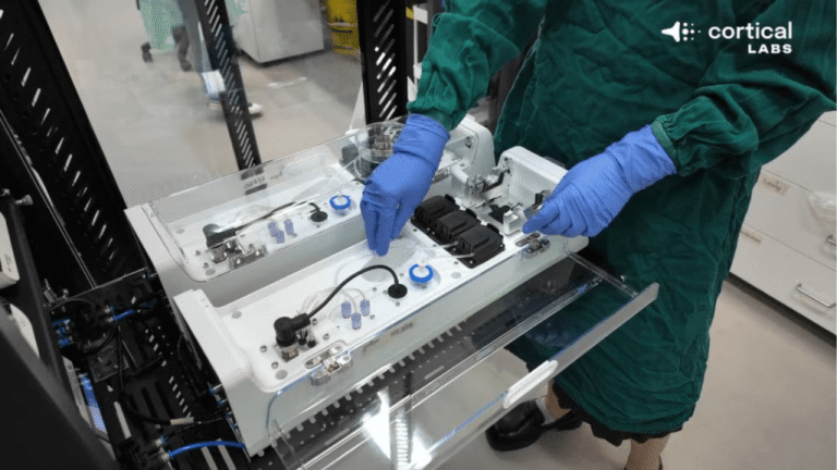 Investigadores enseñan a una “computadora biológica” llamada CL1 que está hecha con células cerebrales humanas a jugar Doom