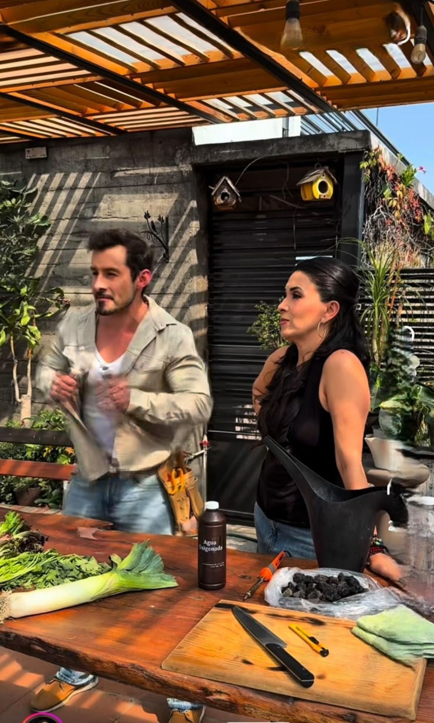 El área del huerto en la casa de Dalilah Polanco. Foto: Instagram