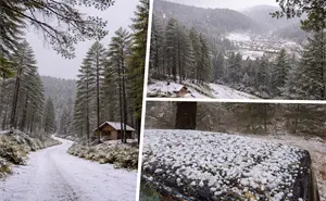 Imágenes virales: así amanecieron Huajicori y Del Nayar tras intensa granizada