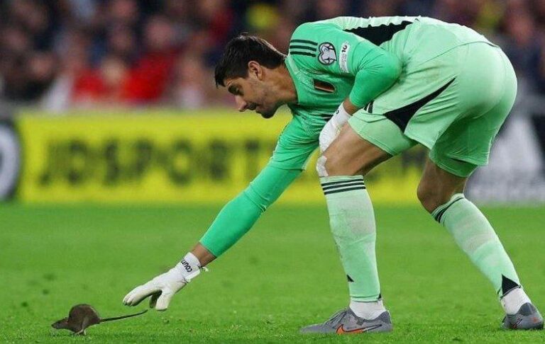 Explican importancia de fumigar los estadios para el mundial