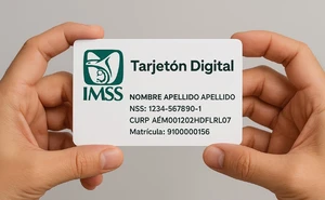 Tarjetón Digital IMSS: ¿Quiénes deben tramitarlo en 2026 y cómo funciona?