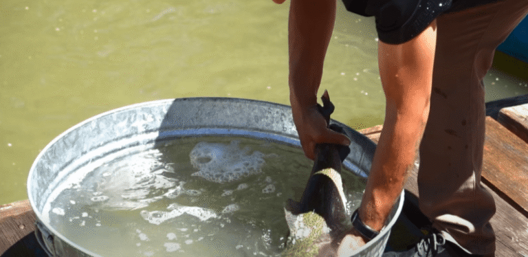 Hoy, concurso de pesca en Guachochi