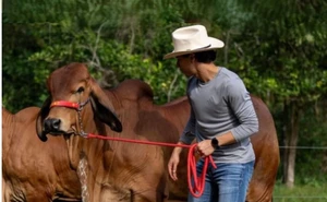 Un futbolista vaquero: invierte sus ganancias en un rancho ganadero