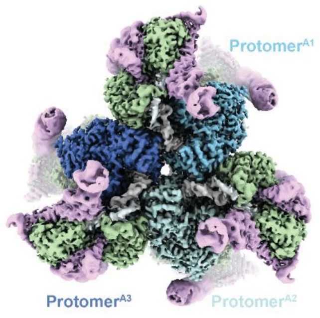 Científicos descubren una forma completamente nueva de construir ADN