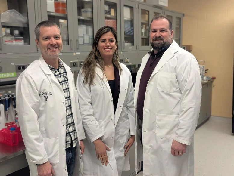 Bacterias diseñadas para “comerse” el cáncer desde dentro