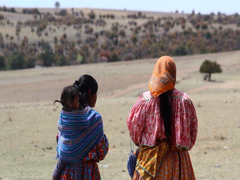 ¡Sierra en alerta tras liberación de “El Larry” desata miedo y amenazas en Chihuahua!