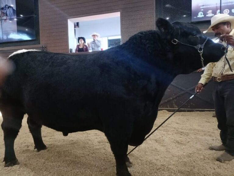 Presuntos asesinos de ganadero seguirán tras las rejas mientras avanza investigación