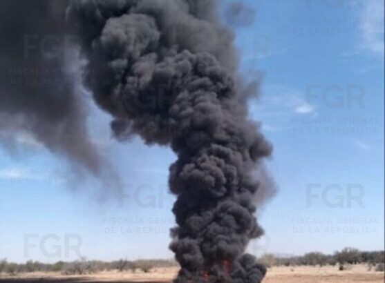 FGR LLEVA A CABO INCINERACIÓN DE MÁS DE 832 KILOGRAMOS DE NARCÓTICOS EN HERMOSILLO, SONORA