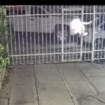 Vecino pide apoyo para localizar a conductor que huyó tras choque en la madrugada