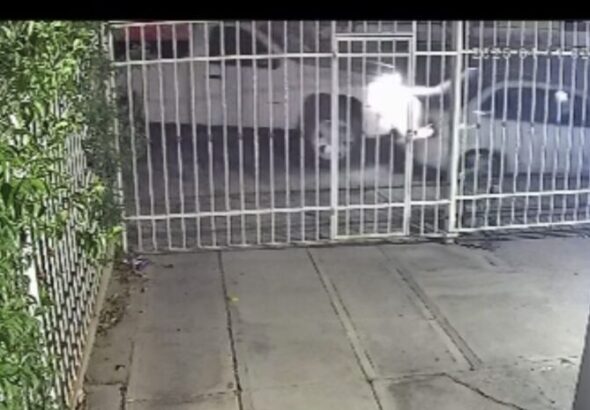 Vecino pide apoyo para localizar a conductor que huyó tras choque en la madrugada