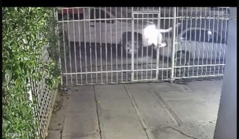 Vecino pide apoyo para localizar a conductor que huyó tras choque en la madrugada