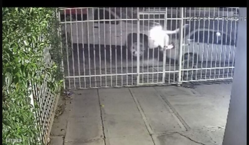 Vecino pide apoyo para localizar a conductor que huyó tras choque en la madrugada