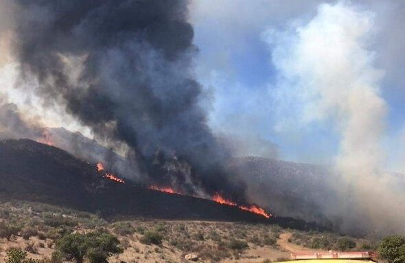 En dos días se incendian más de 700 hectareas