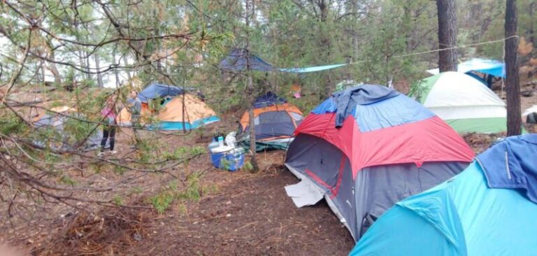 Especialista de la UACH emite recomendaciones para un campismo responsable en zonas boscosas.