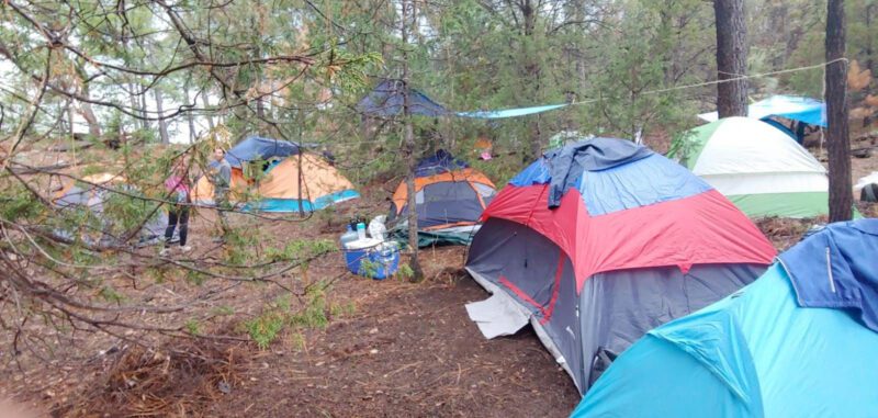 Especialista de la UACH emite recomendaciones para un campismo responsable en zonas boscosas.