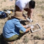 Científicos de la UACH estudian biocostras para combatir la degradación del suelo.