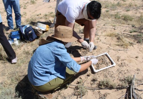 Científicos de la UACH estudian biocostras para combatir la degradación del suelo.