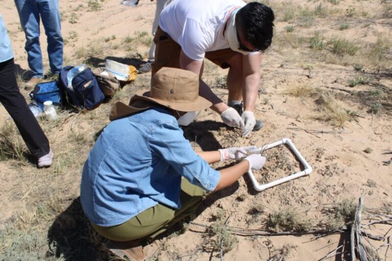 Científicos de la UACH estudian biocostras para combatir la degradación del suelo.