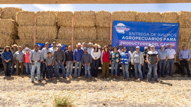 Entregan pacas de rastrojo a 456 productores del municipio de Cuauhtémoc