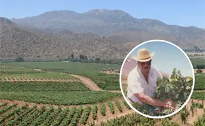 Así una familia transformó el desierto en el mayor imperio del vino mexicano