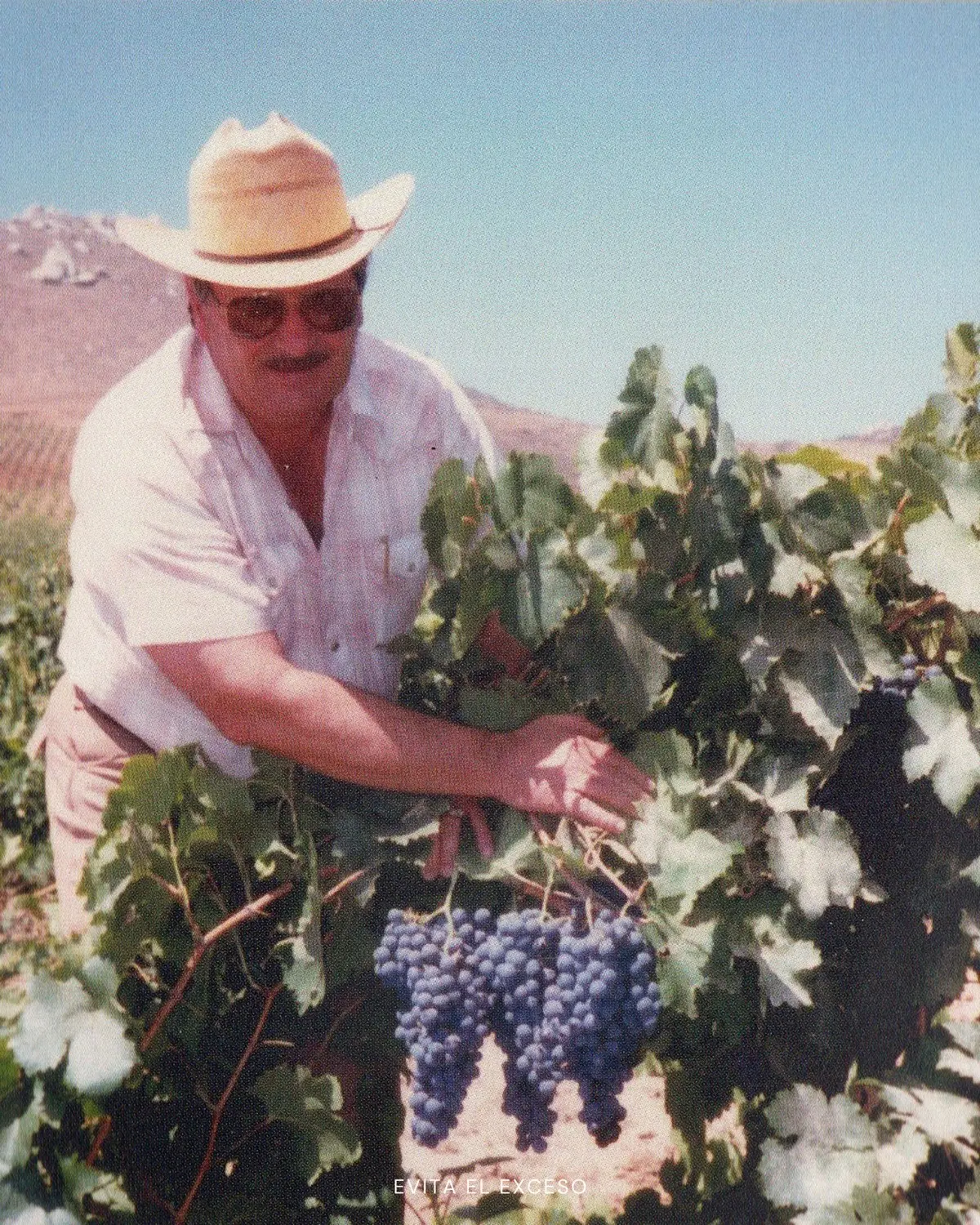 Así una familia transformó el desierto en el mayor imperio del vino mexicano