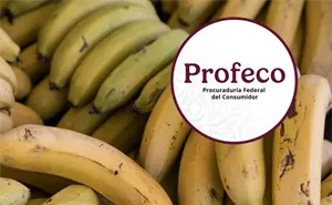 ¿Cuánto cuesta el plátano en México? Profeco revela los precios máximos